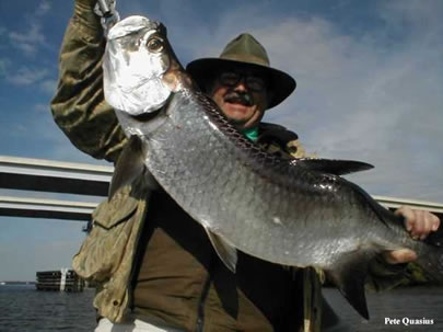 Caloosahatchee Tarpon
